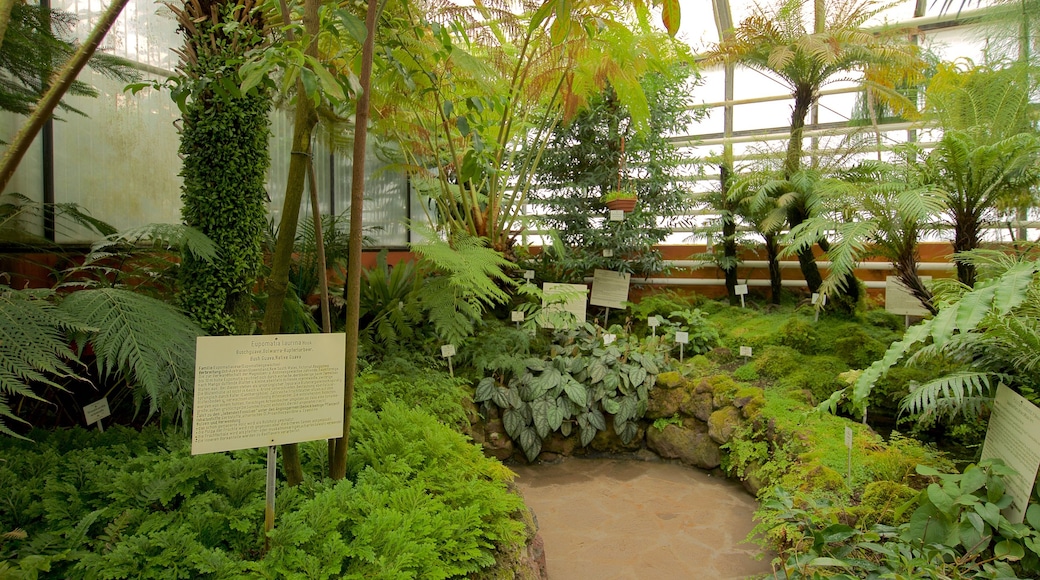 Botanischer Garten mettant en vedette signalisation, vues intérieures et parc