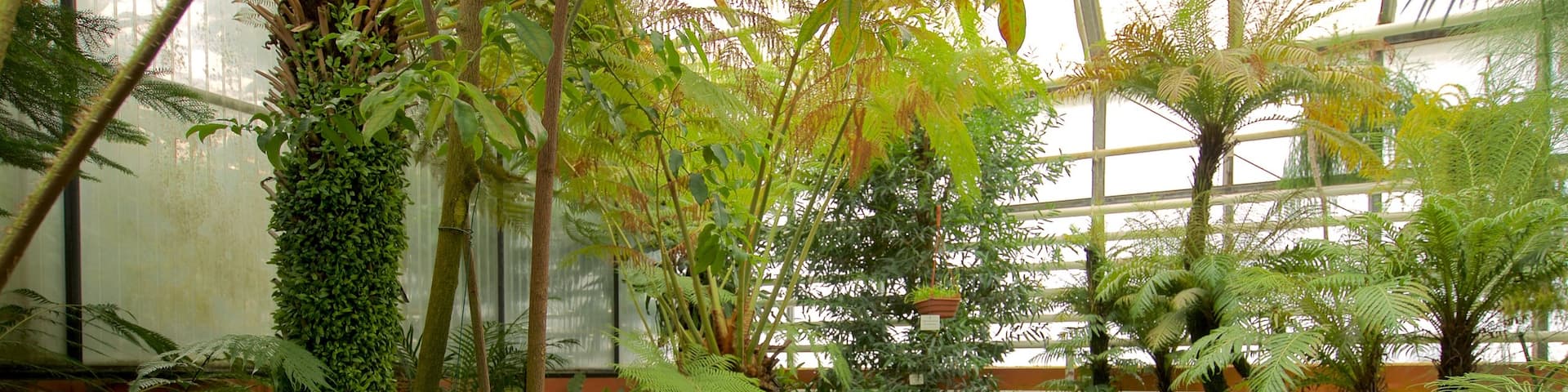 Botanischer Garten showing signage, interior views and a park