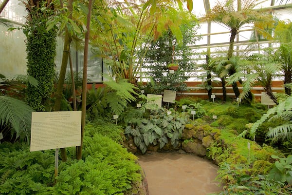 Botanischer Garten montrant jardin, signalisation et vues intérieures