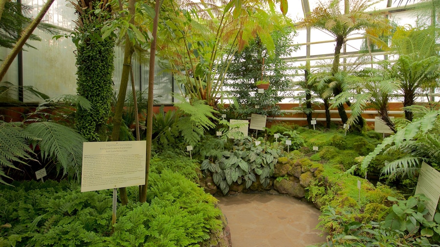 Botanischer Garten som viser en park, interiør og skiltning