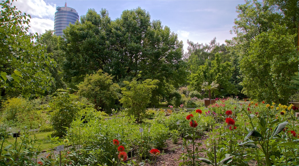 Botanischer Garten showing a garden and wild flowers