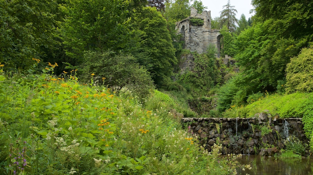 Bergpark Wilhelmshoehe presenterar blommor och en å eller flod