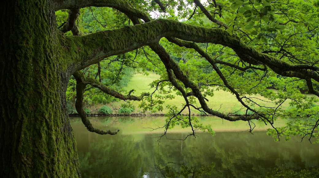 Bergpark Wilhelmshoehe bevat een vijver