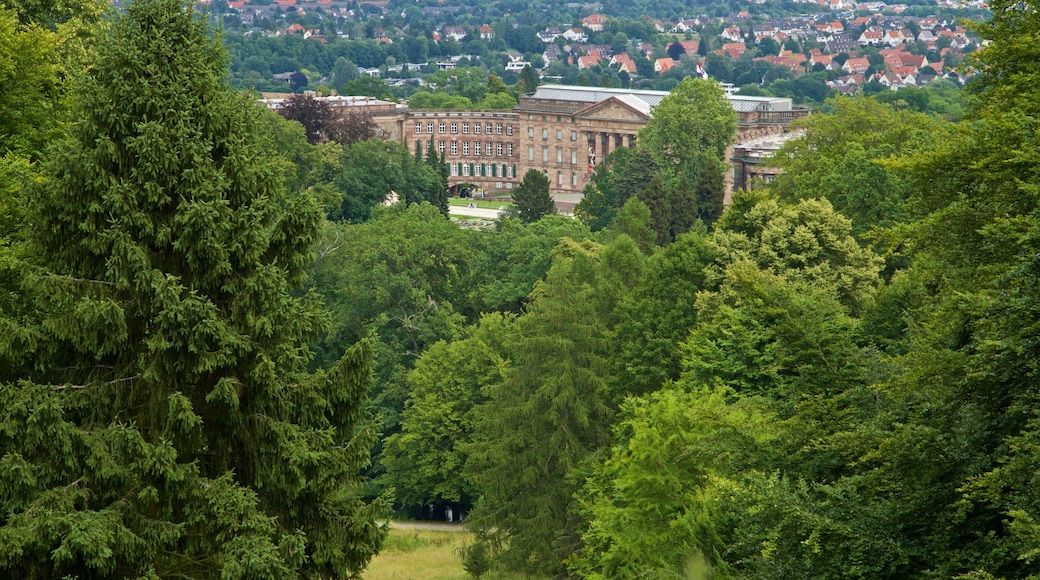 Bergpark Wilhelmshoehe mostrando città, architettura d\'epoca e foresta