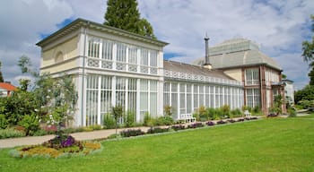 Bergpark Wilhelmshoehe som visar historisk arkitektur, en trädgård och blommor