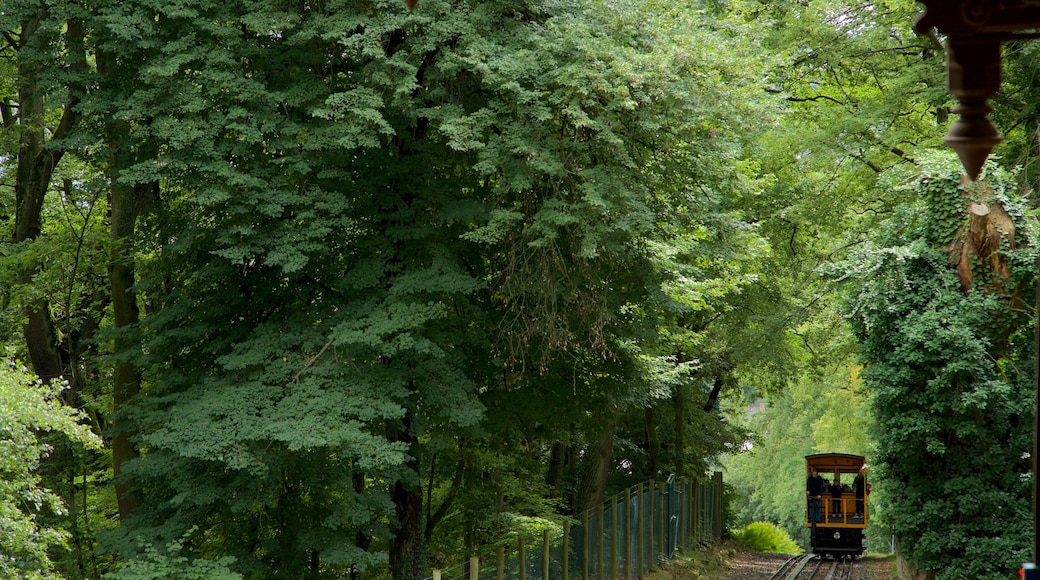 Nerobergbahn-funikulaari johon kuuluu metsänäkymät ja rautatiehen liittyvät esineet