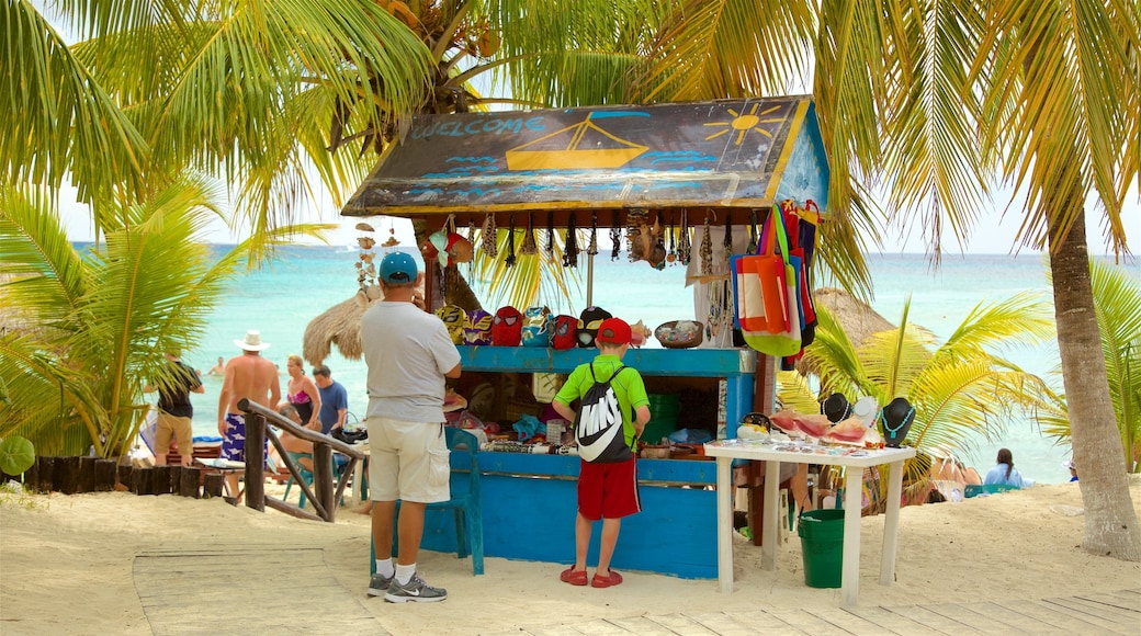 Palancar Beach which includes general coastal views, tropical scenes and a sandy beach