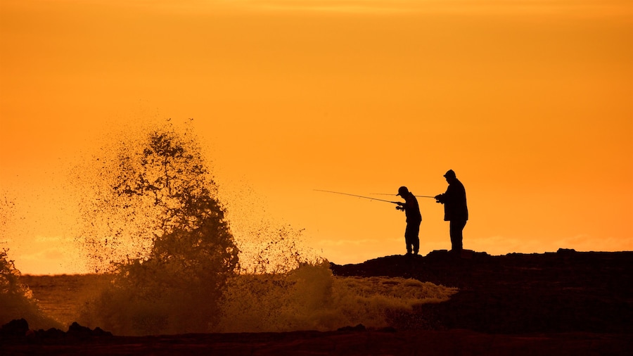 Snapper Rocks featuring fishing, general coastal views and a sunset