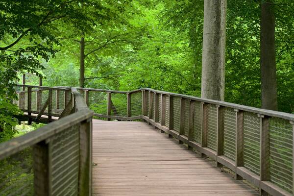 Olderdissen Animal Park which includes a bridge and forests
