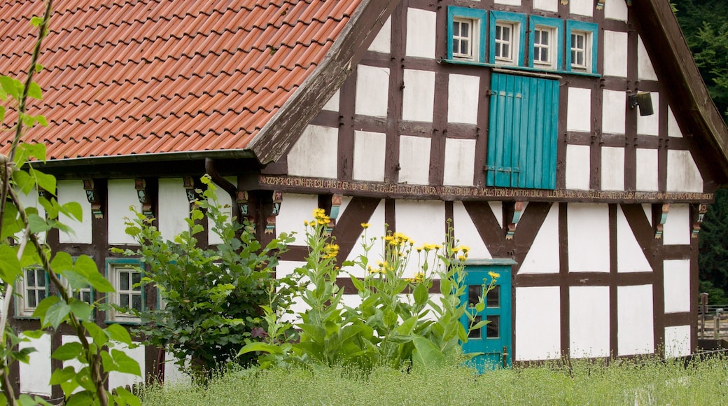 Heimat-Tierpark Olderdissen som visar historiska element