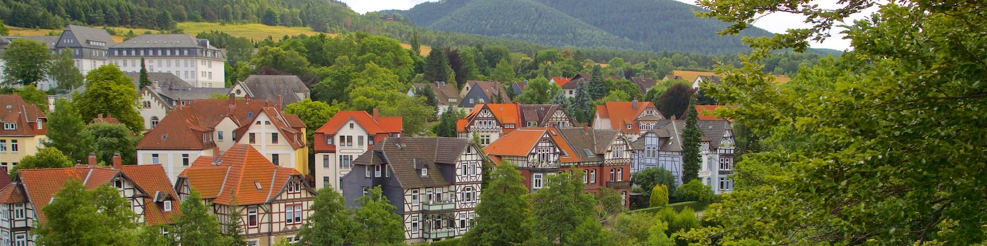 Museum im Zwinger montrant petite ville ou village, scĂšnes tranquilles et mare