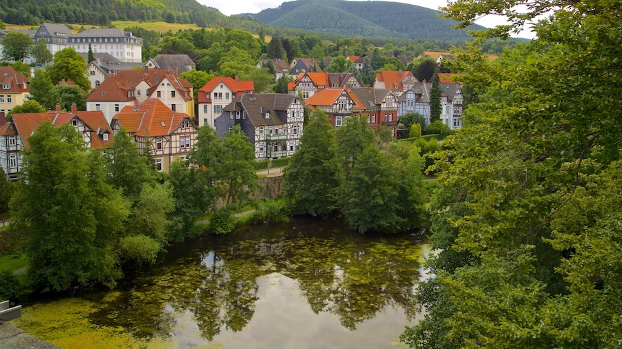 Museum im Zwinger