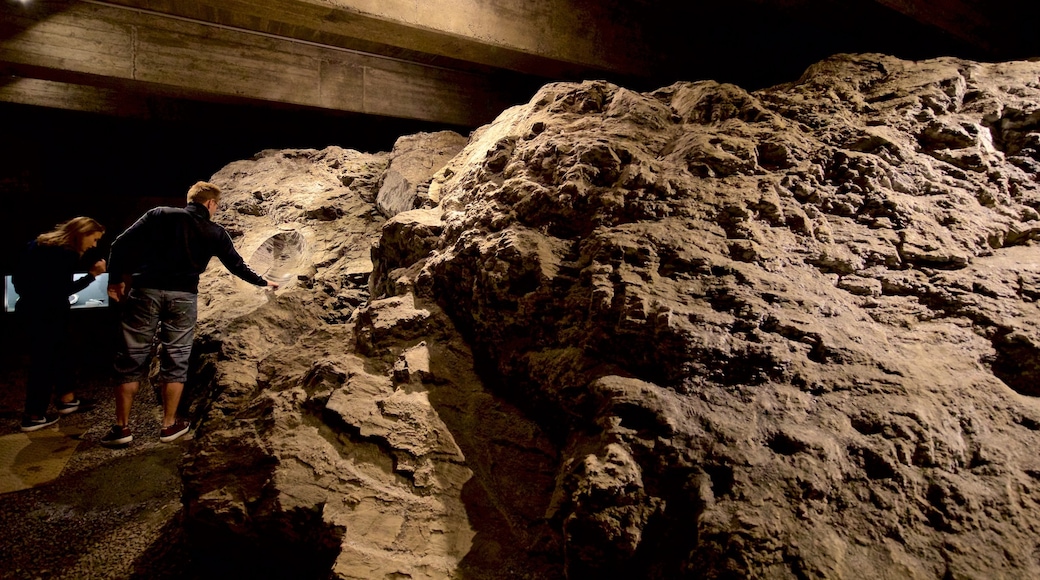 Rammelsberg Mine and Mining Museum featuring caves and interior views as well as a couple