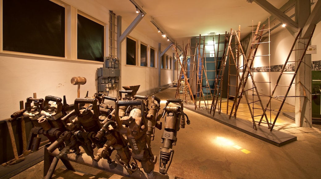 Rammelsberg Mine and Mining Museum toont interieur en kunst