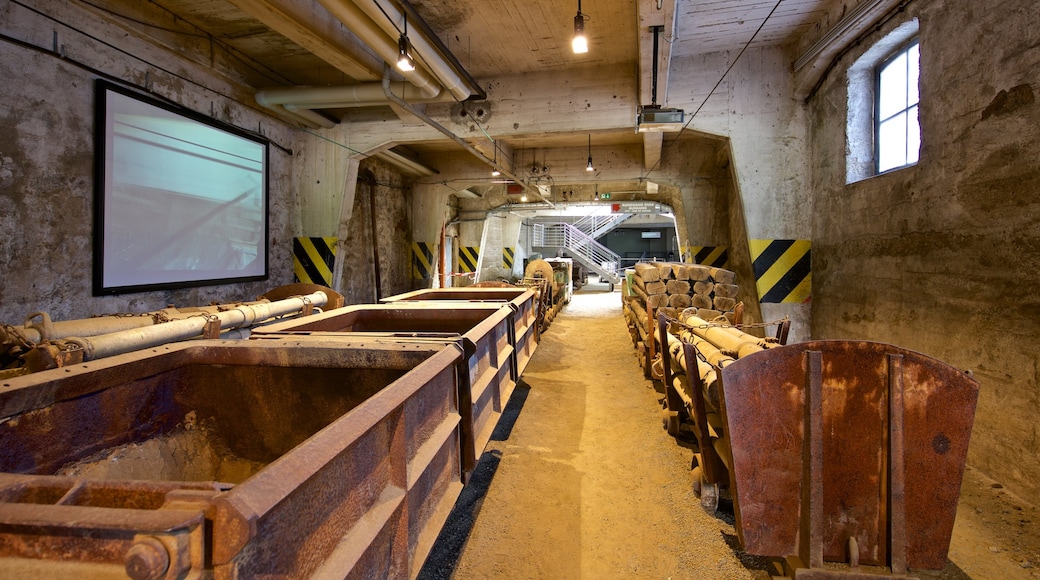 Rammelsberg Mine and Mining Museum mit einem Innenansichten und Geschichtliches