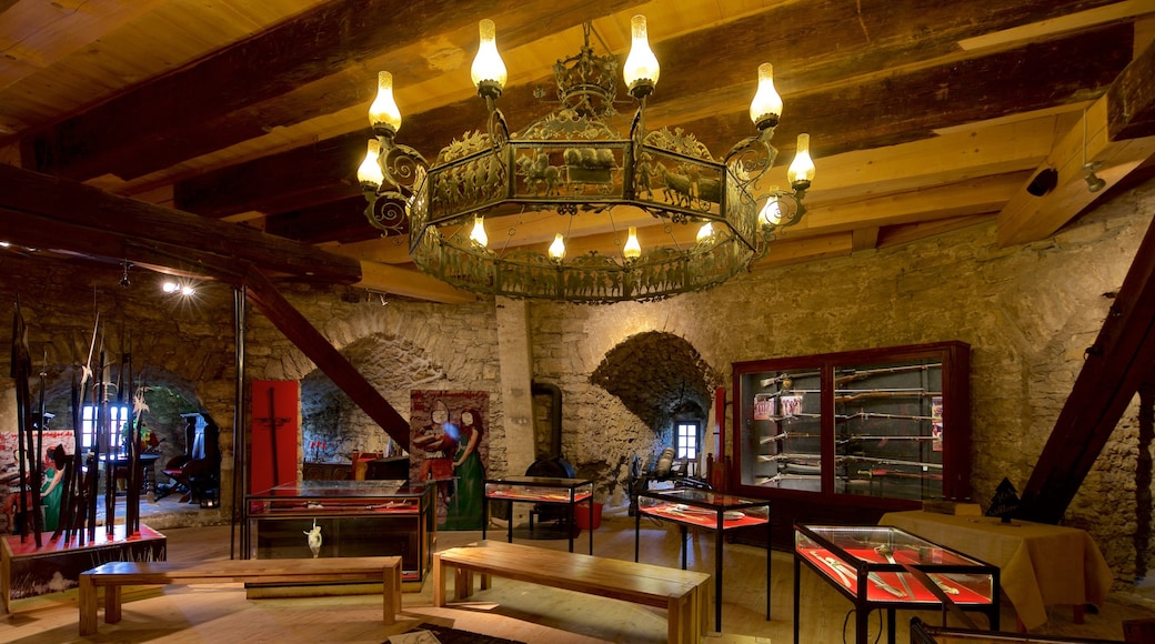 Museum im Zwinger featuring interior views