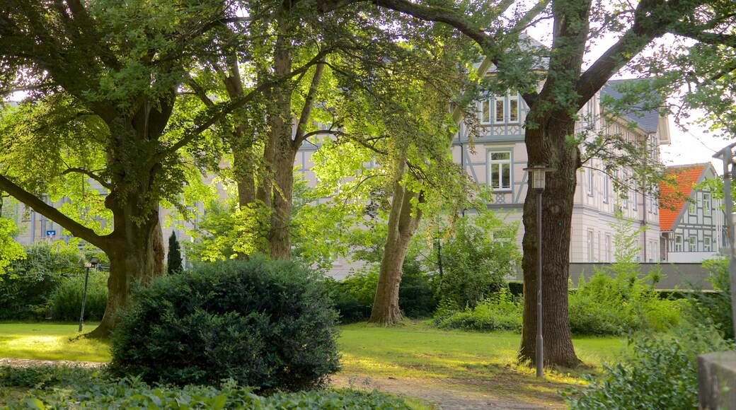 Goslaer Altstadt mit einem Park