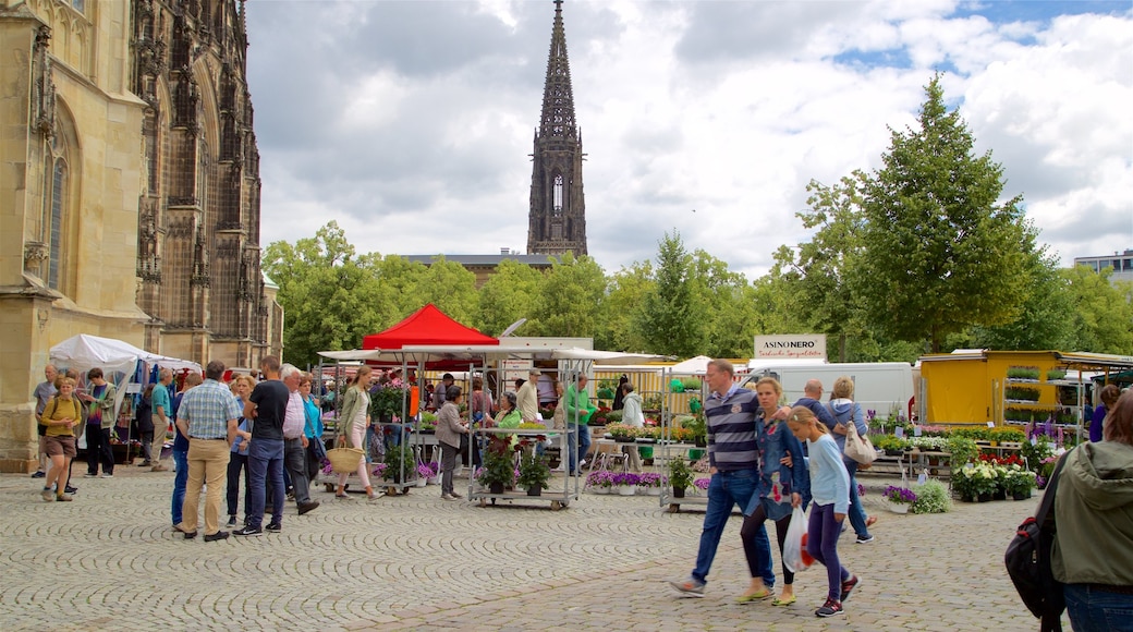 Weekmarkt van Münster bevat historische architectuur en straten en ook een klein groepje mensen