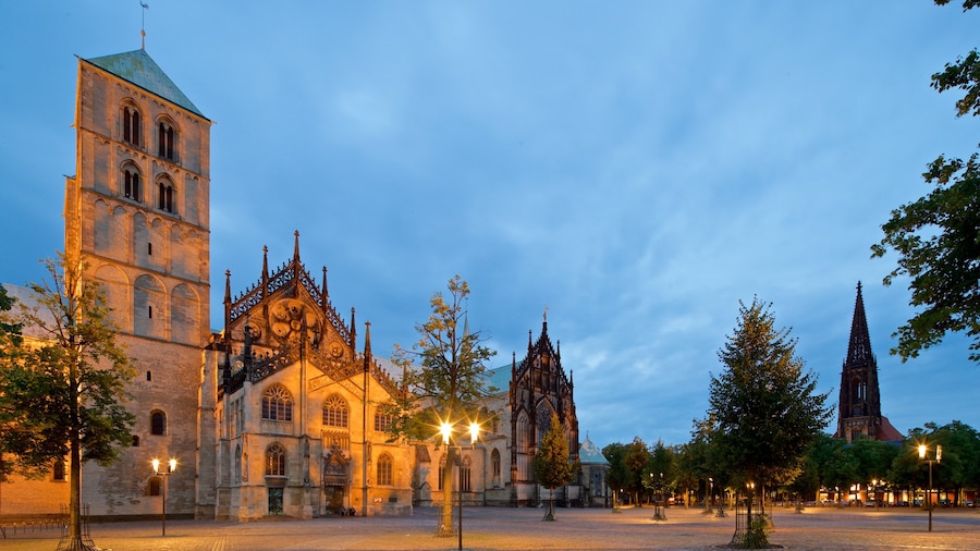 Muenster Cathedral which includes a square or plaza, a church or cathedral and night scenes