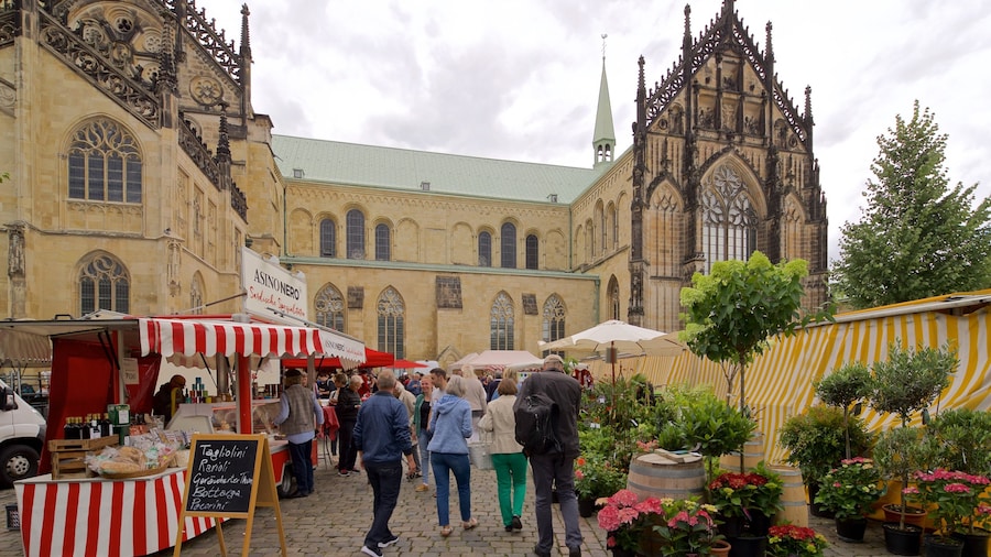 Wochenmarkt Muenster which includes heritage architecture, markets and flowers