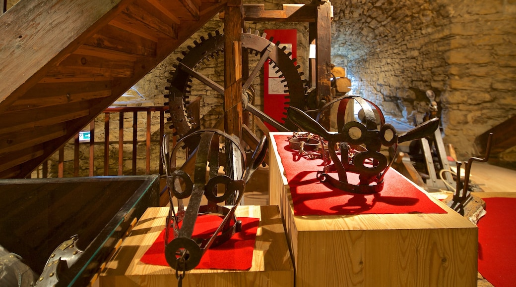Museum im Zwinger