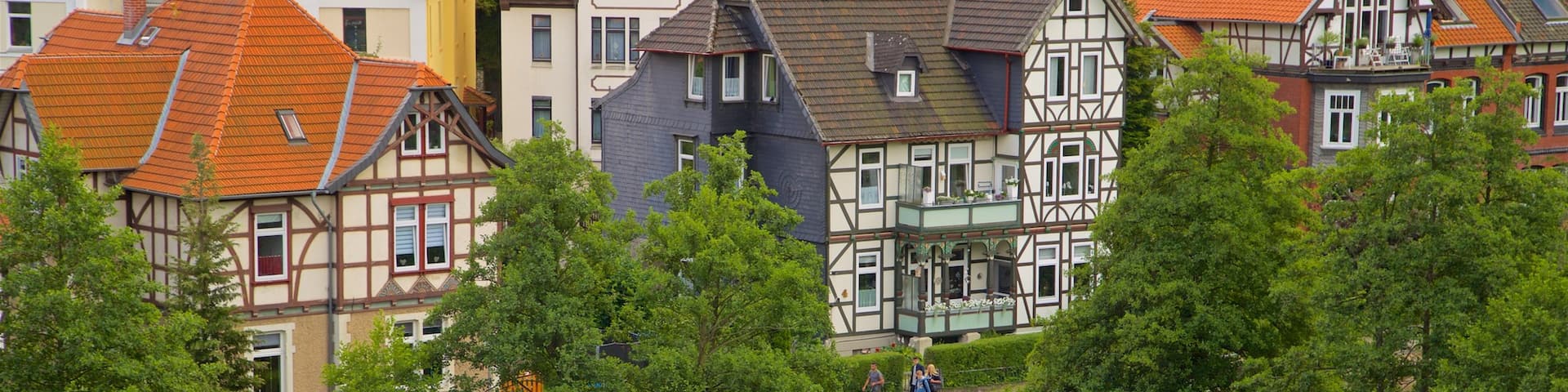 Museum im Zwinger which includes landscape views and a small town or village