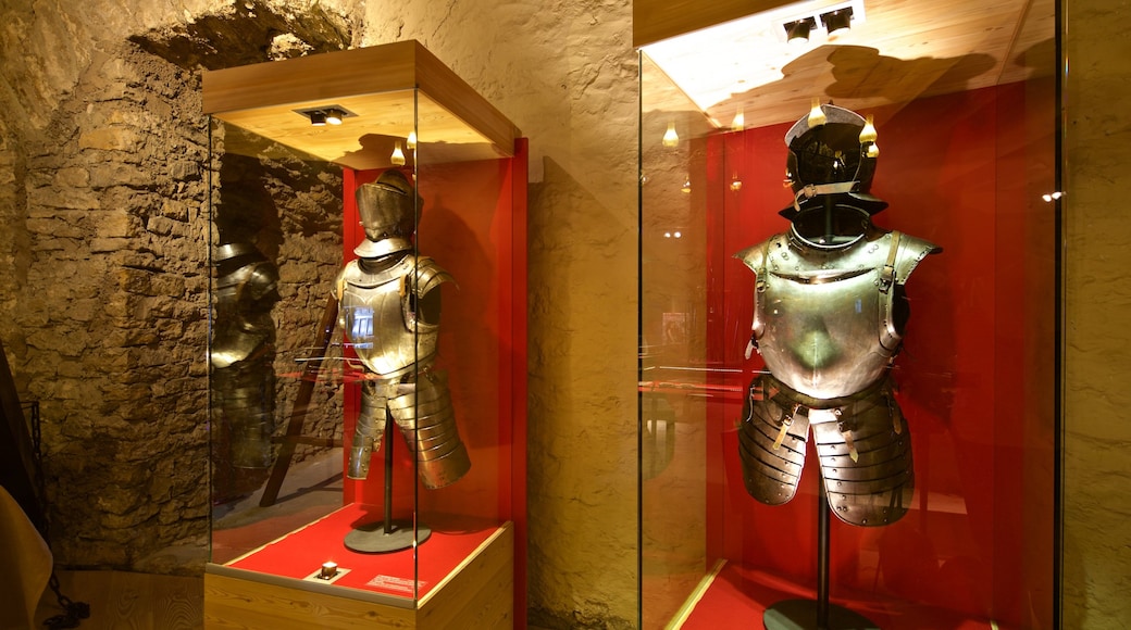 Museum im Zwinger showing heritage elements and interior views