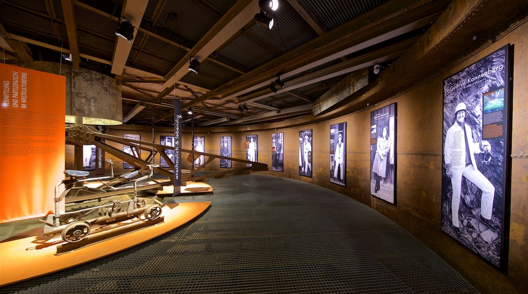 Rammelsberg Mine and Mining Museum featuring interior views