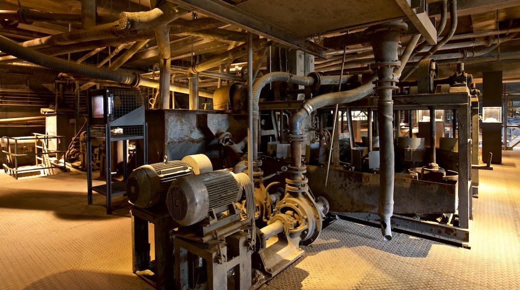 Rammelsberg Mine and Mining Museum showing interior views and heritage elements