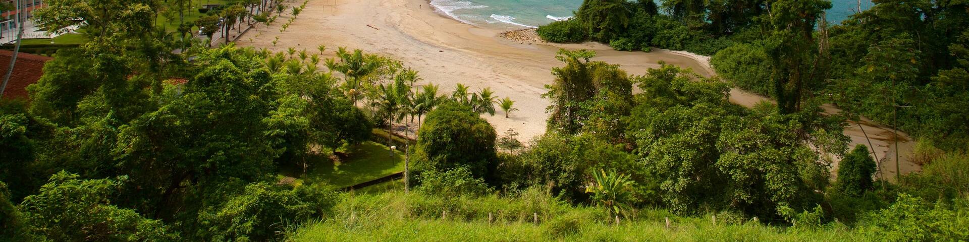 Brava Beach featuring general coastal views and a beach
