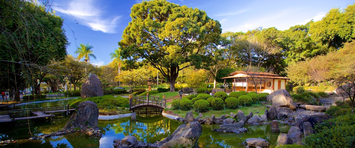 Jardín japonés mostrando un estanque y un jardín