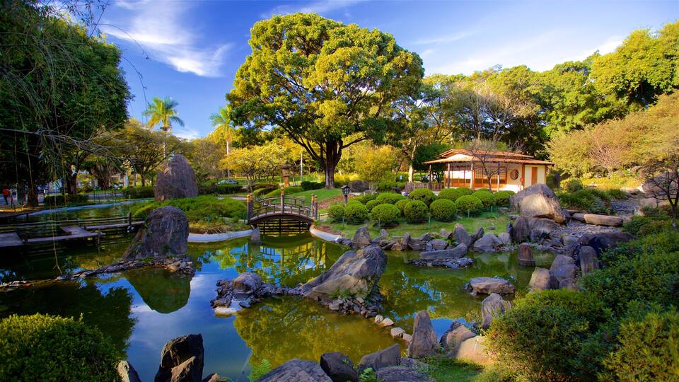 Japanese Garden showing a pond and a park