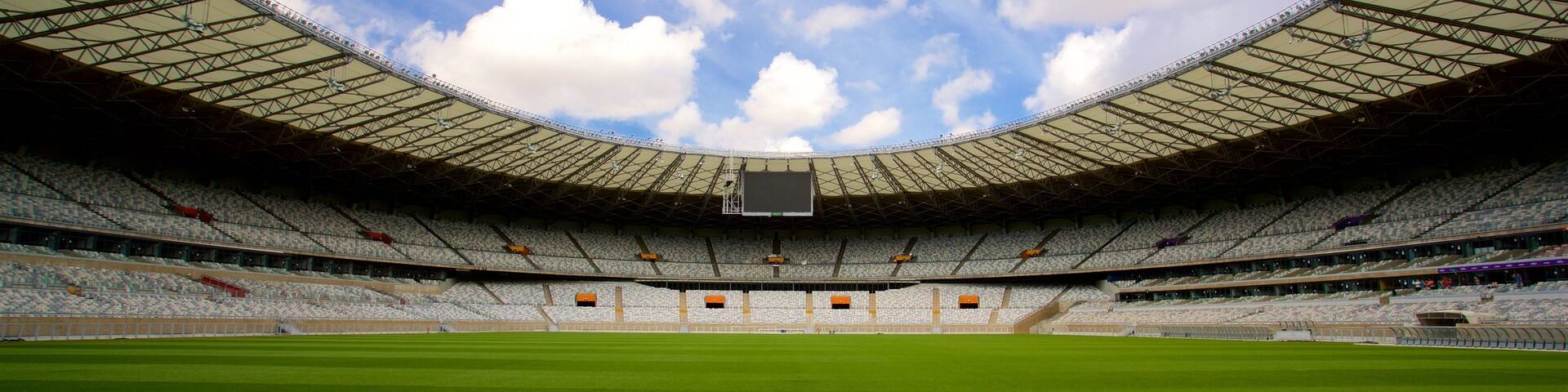Mineirao Stadium