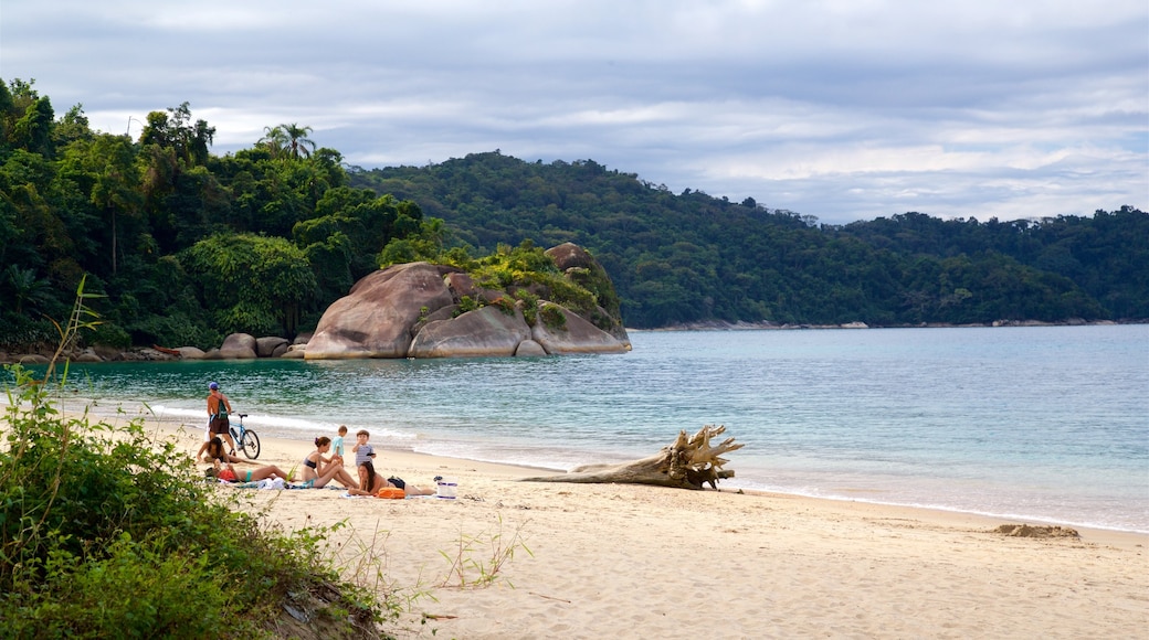 Praia do Laboratório que inclui paisagens litorâneas e uma praia assim como uma família