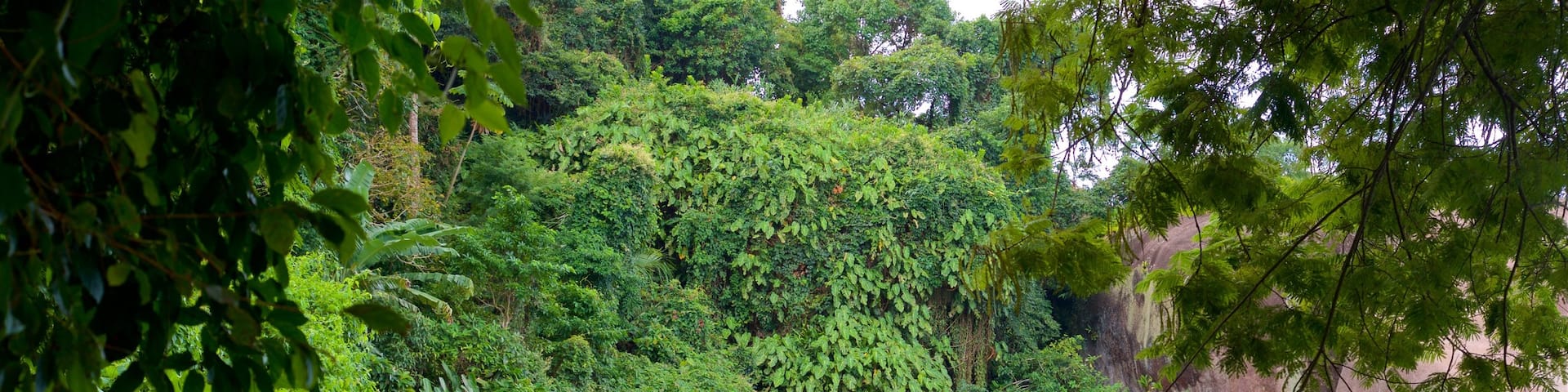 Laboratorio Beach featuring general coastal views