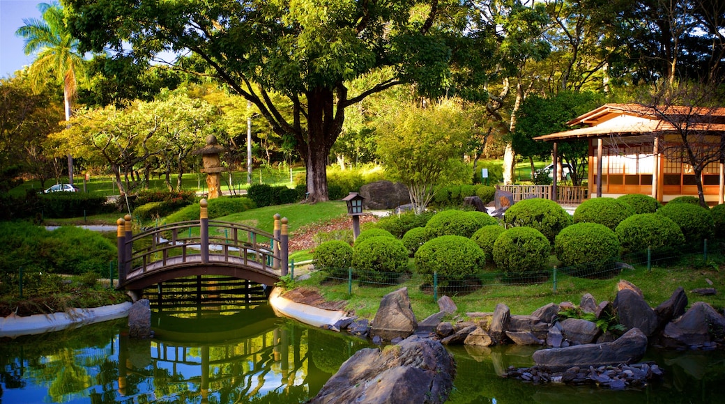 Japanese Garden showing a bridge, a pond and a garden