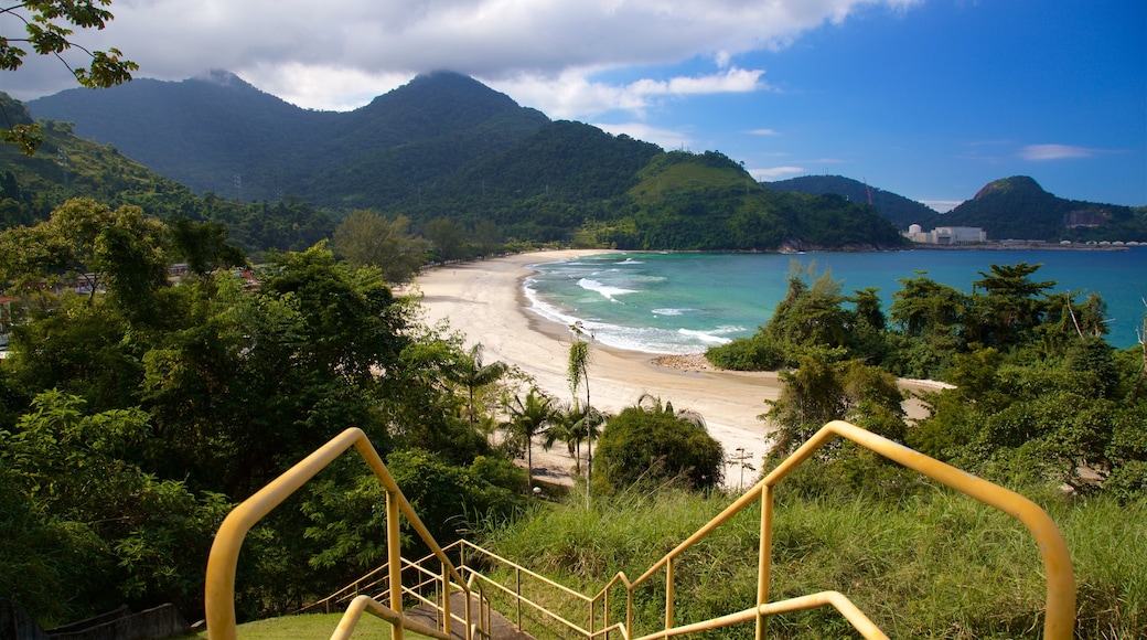 Brava Beach showing general coastal views and a sandy beach