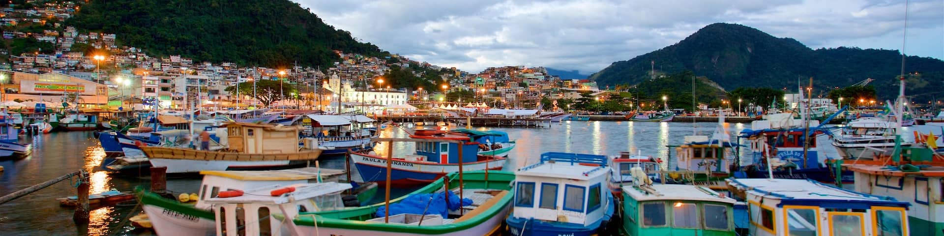 Angra dos Reis showing a bay or harbour and a coastal town