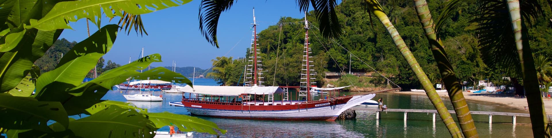 Bonfim Beach showing a bay or harbour and a beach