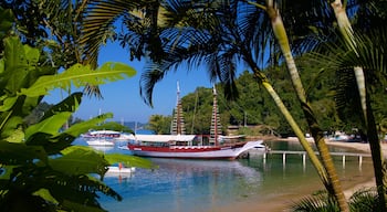 Bonfim Beach featuring a bay or harbor and a sandy beach