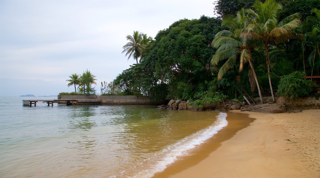 Praia da Biscaia que inclui paisagens litorâneas, cenas tropicais e uma praia