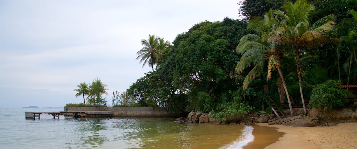Praia da Biscaia que inclui paisagens litorâneas, cenas tropicais e uma praia