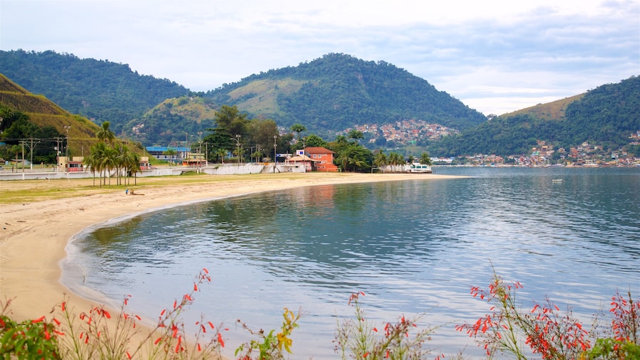 Anil Beach which includes wild flowers, a beach and general coastal views
