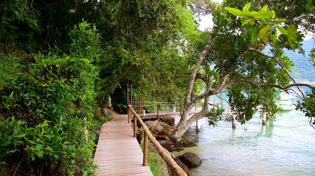 Crena Beach which includes general coastal views