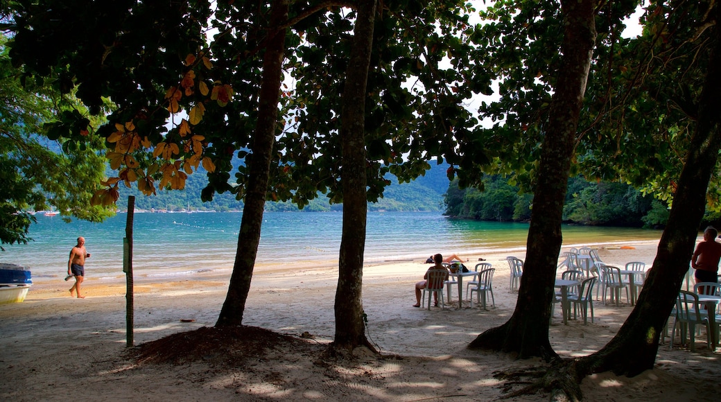 Crena Beach showing general coastal views, tropical scenes and a beach