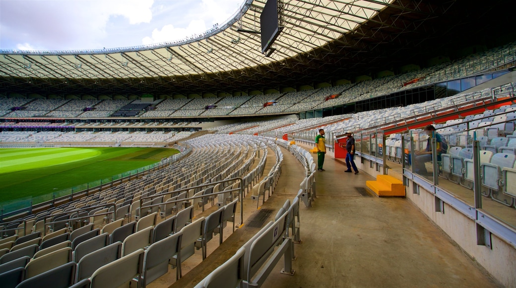 Sân vận động Mineirao