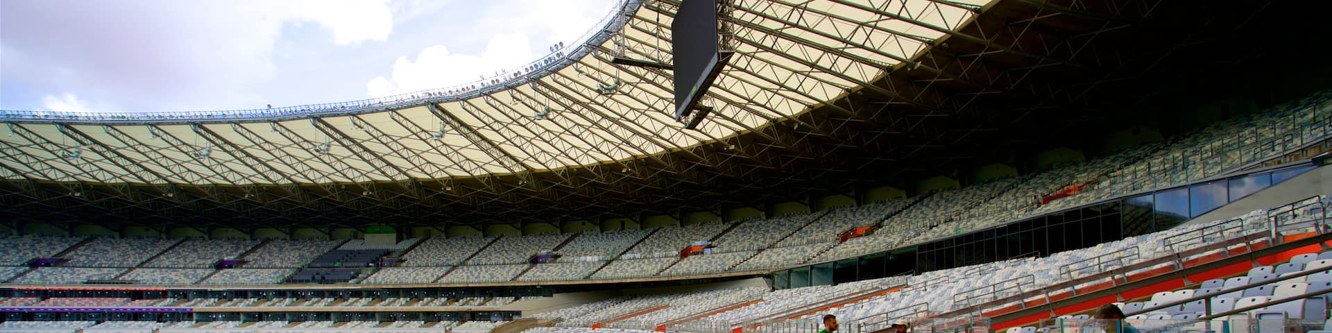 Mineirao Stadium