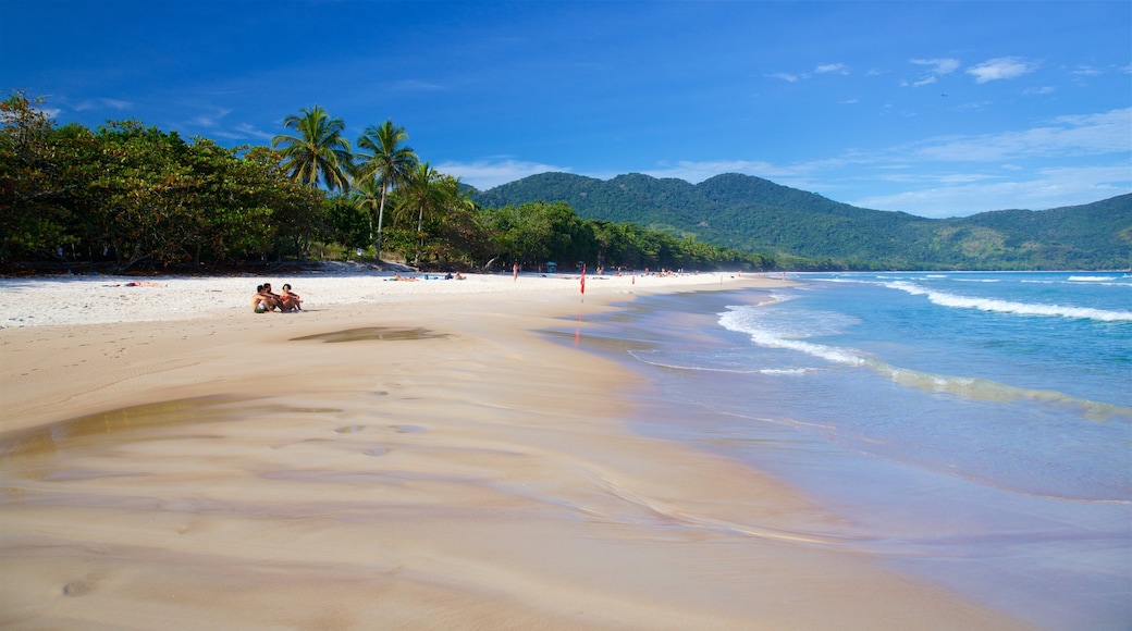 Playa de Lopes Mendes mostrando vistas generales de la costa, una playa de arena y escenas tropicales