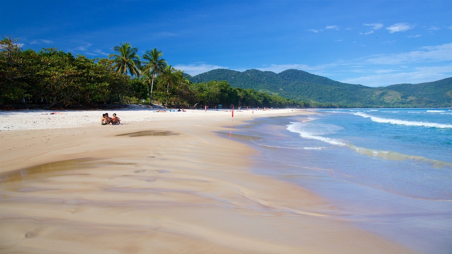 Bãi biển Lopes Mendes có tính năng quang cảnh miền nhiệt đới, cảnh bờ biển và bãi biển