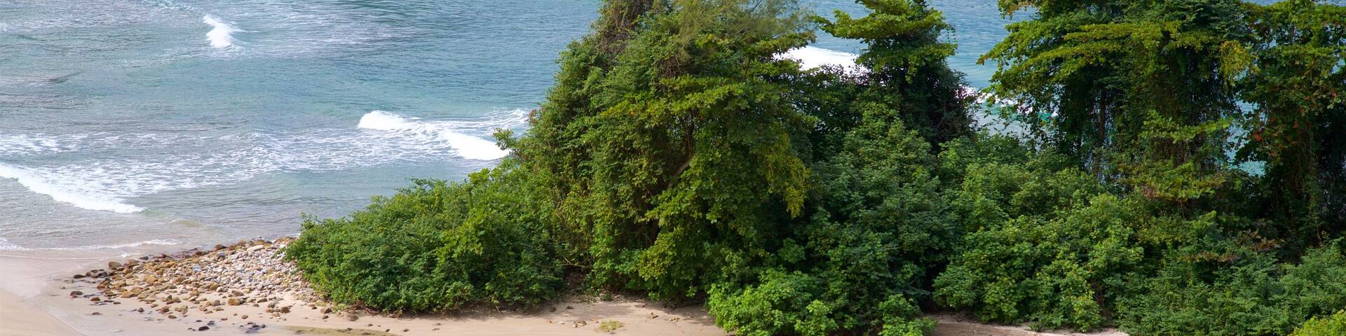 Playa Brava das einen allgemeine Küstenansicht und Strand